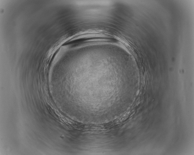 X0000073700337200608031220