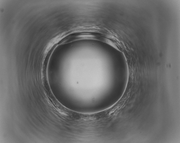 X0000073700340200608031220