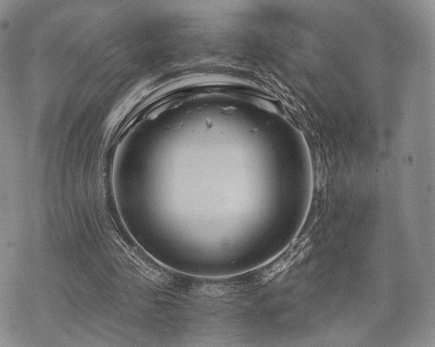 X0000073700341200608031220