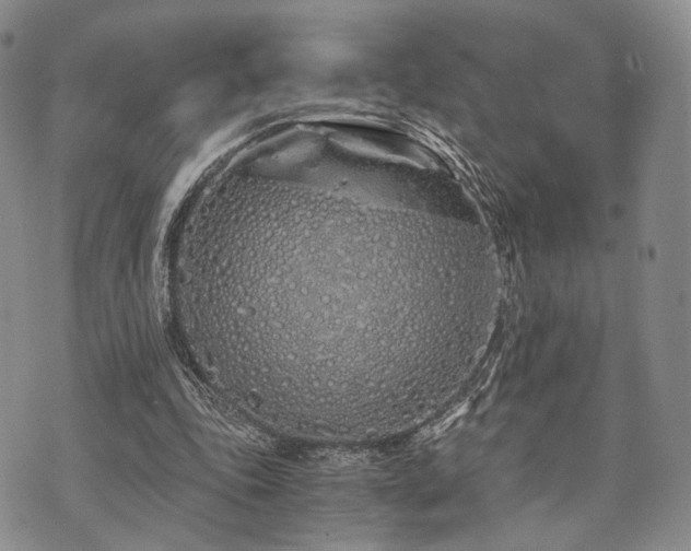 X0000073700343200608031220