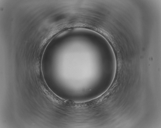 X0000073700345200608031220