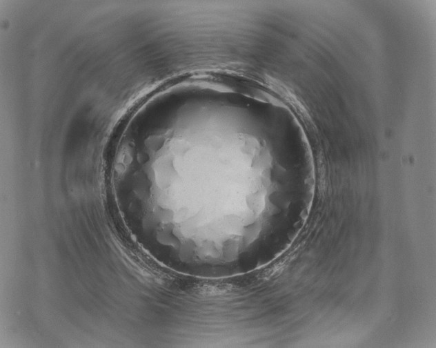 X0000073700346200608031220