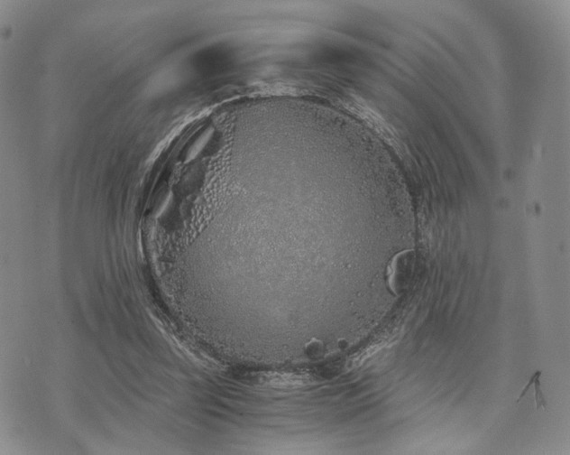 X0000073700347200608031220