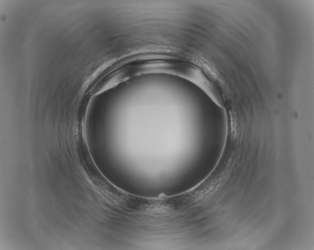 X0000073700348200608031220