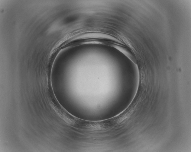 X0000073700349200608031220