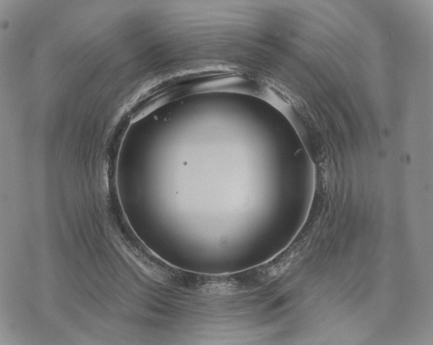 X0000073700350200608031220