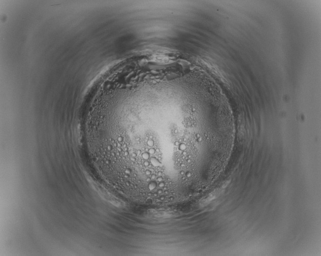 X0000073700351200608031220