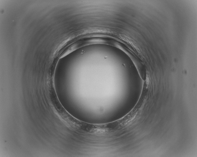 X0000073700352200608031220