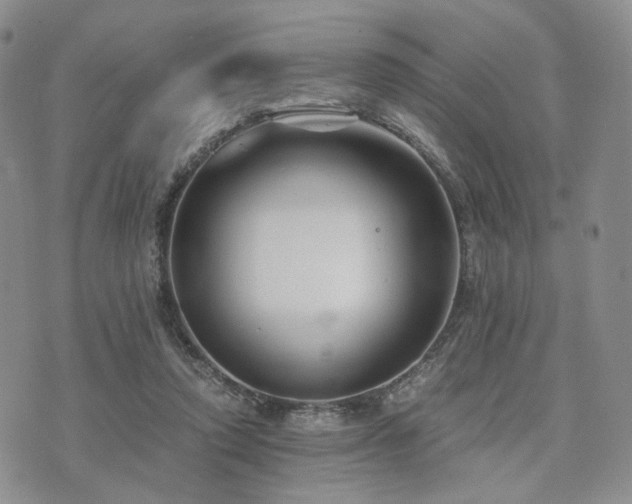 X0000073700354200608031220