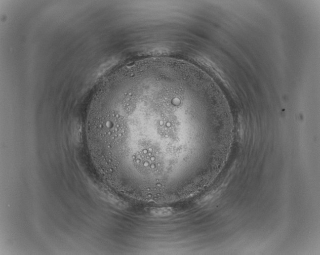 X0000073700355200608031220