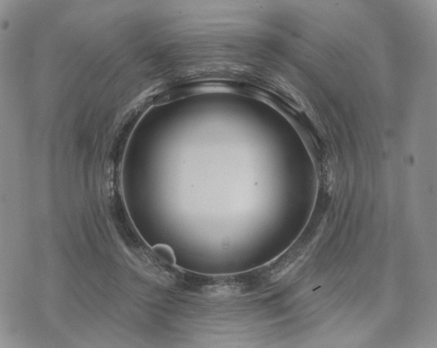 X0000073700356200608031220