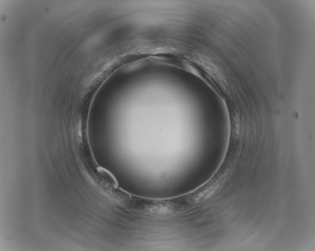 X0000073700358200608031220