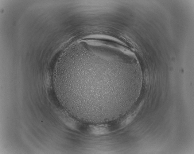 X0000073700359200608031220