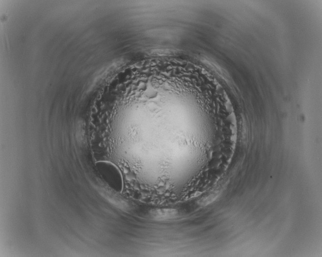 X0000073700361200608031220