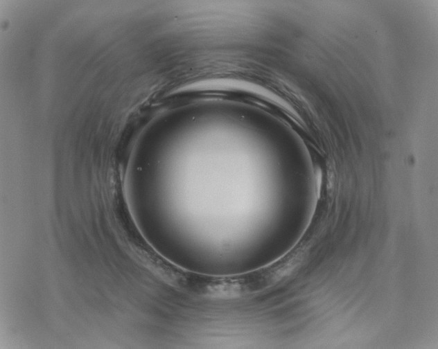 X0000073700362200608031220