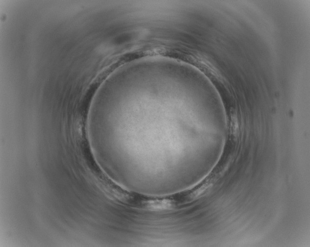 X0000073700363200608031220