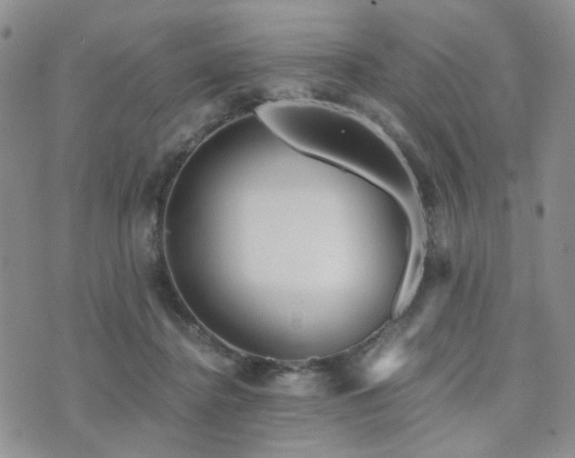 X0000073700364200608031220