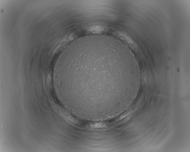 X0000073700365200608031220