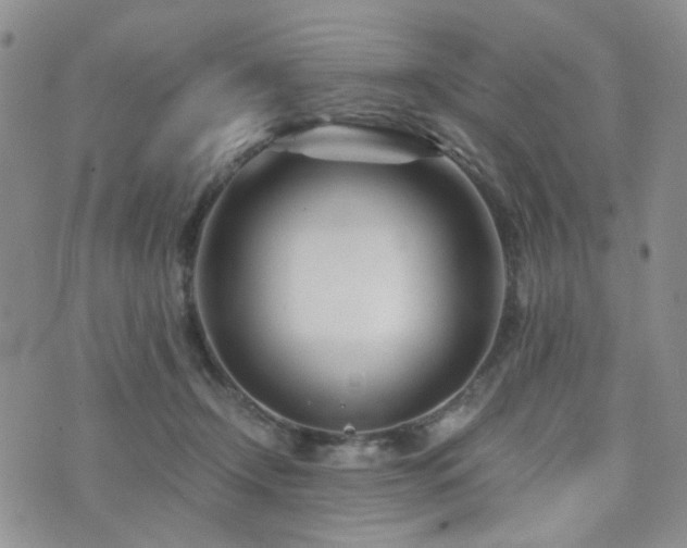 X0000073700366200608031220