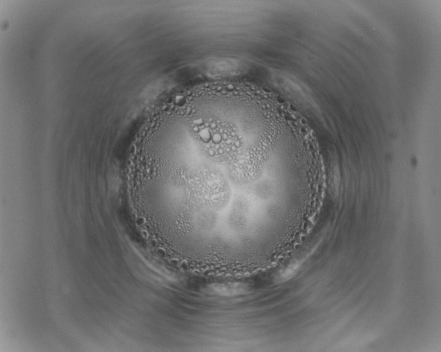 X0000073700367200608031220