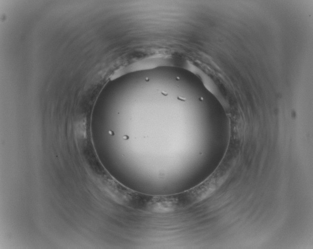 X0000073700368200608031220