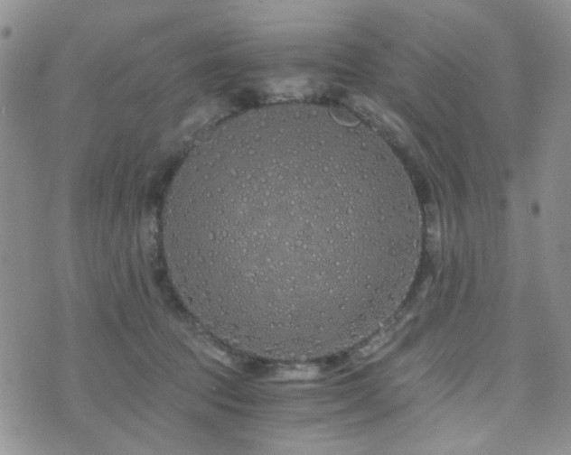 X0000073700369200608031220