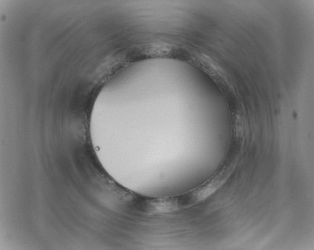 X0000073700370200608031220