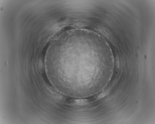 X0000073700371200608031220