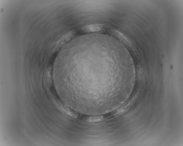 X0000073700373200608031220