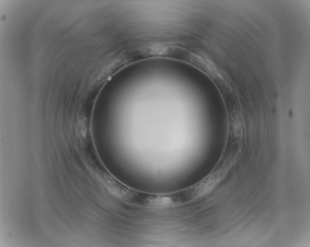 X0000073700374200608031220