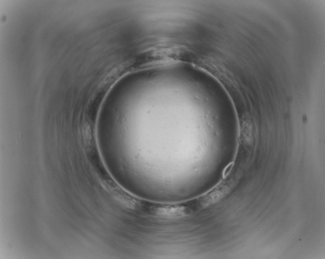 X0000073700375200608031220