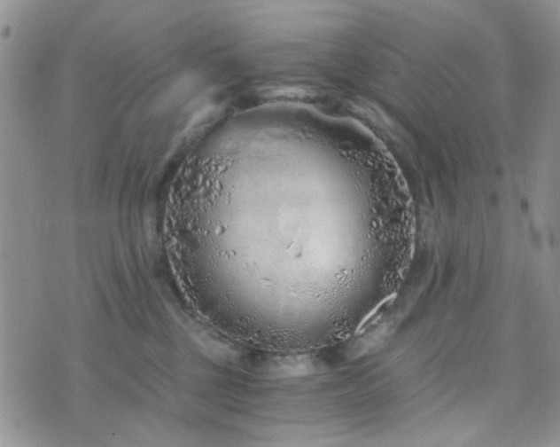 X0000073700377200608031220