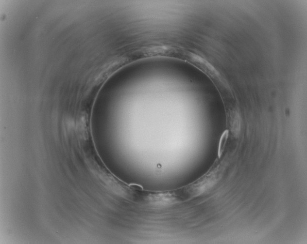 X0000073700378200608031220