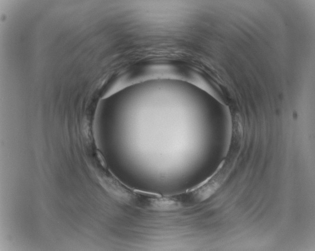 X0000073700380200608031220