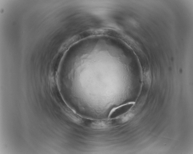 X0000073700381200608031220