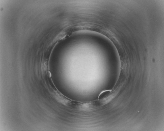 X0000073700382200608031221