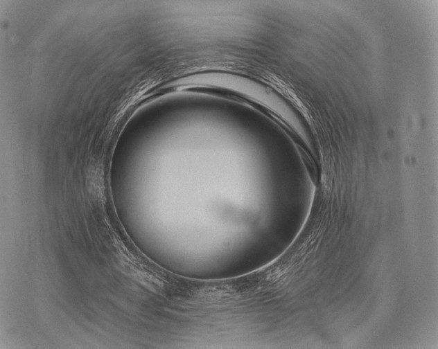 X0000073700386200608031220