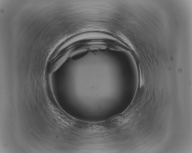 X0000073700387200608031220