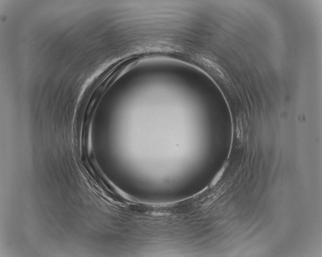 X0000073700388200608031220