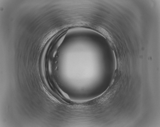 X0000073700389200608031220