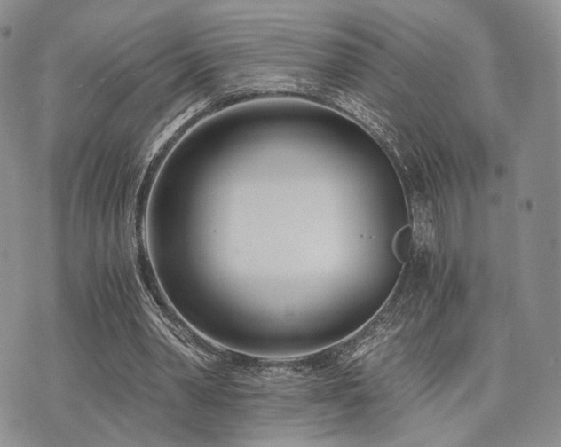 X0000073700390200608031220