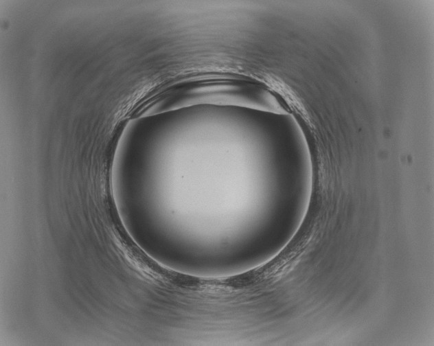 X0000073700393200608031220