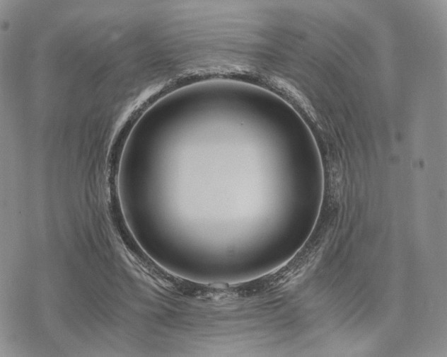 X0000073700395200608031220