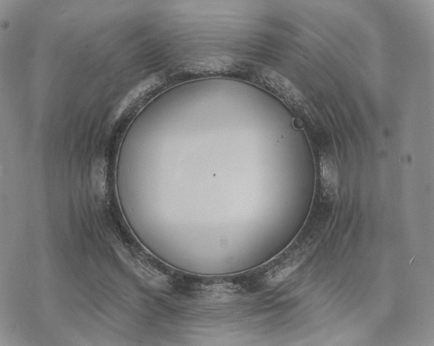 X0000073700396200608031220