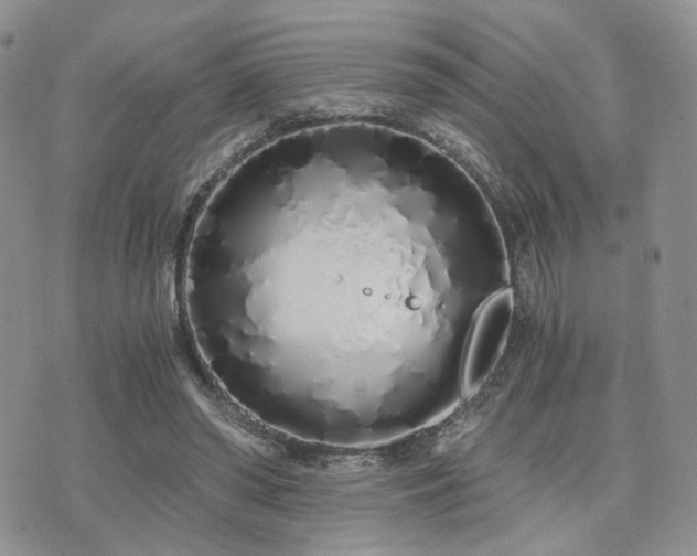 X0000073700398200608031220