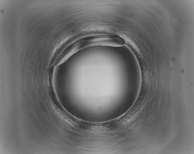 X0000073700399200608031220