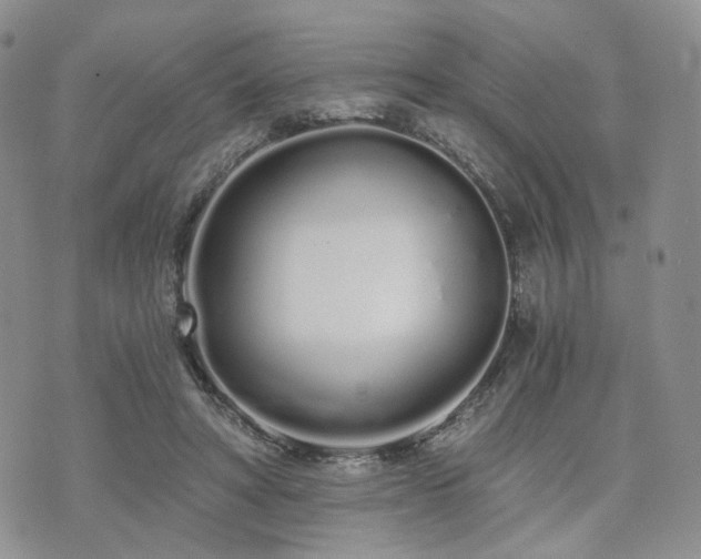 X0000073700402200608031219