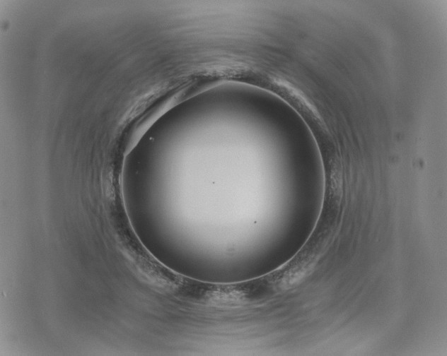 X0000073700403200608031219