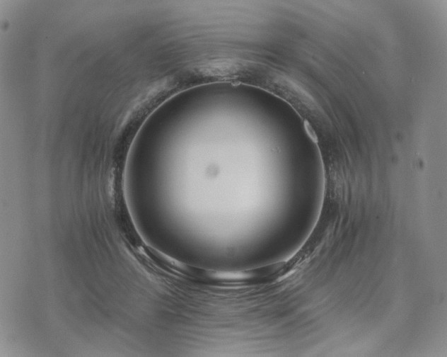 X0000073700404200608031219