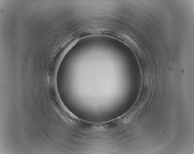 X0000073700405200608031219